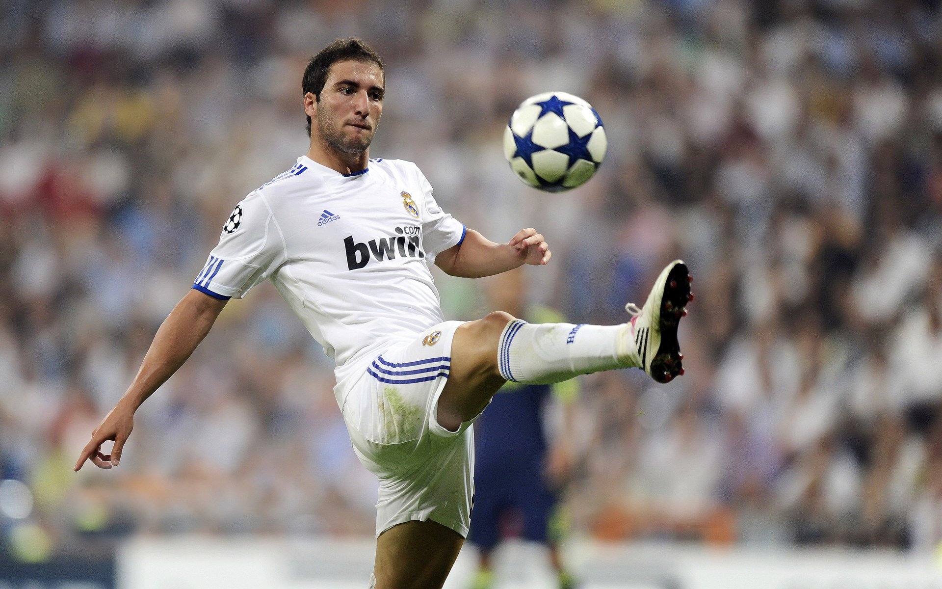 国家极限运动展，未来运动新宠一网打尽，中国极限运动发展